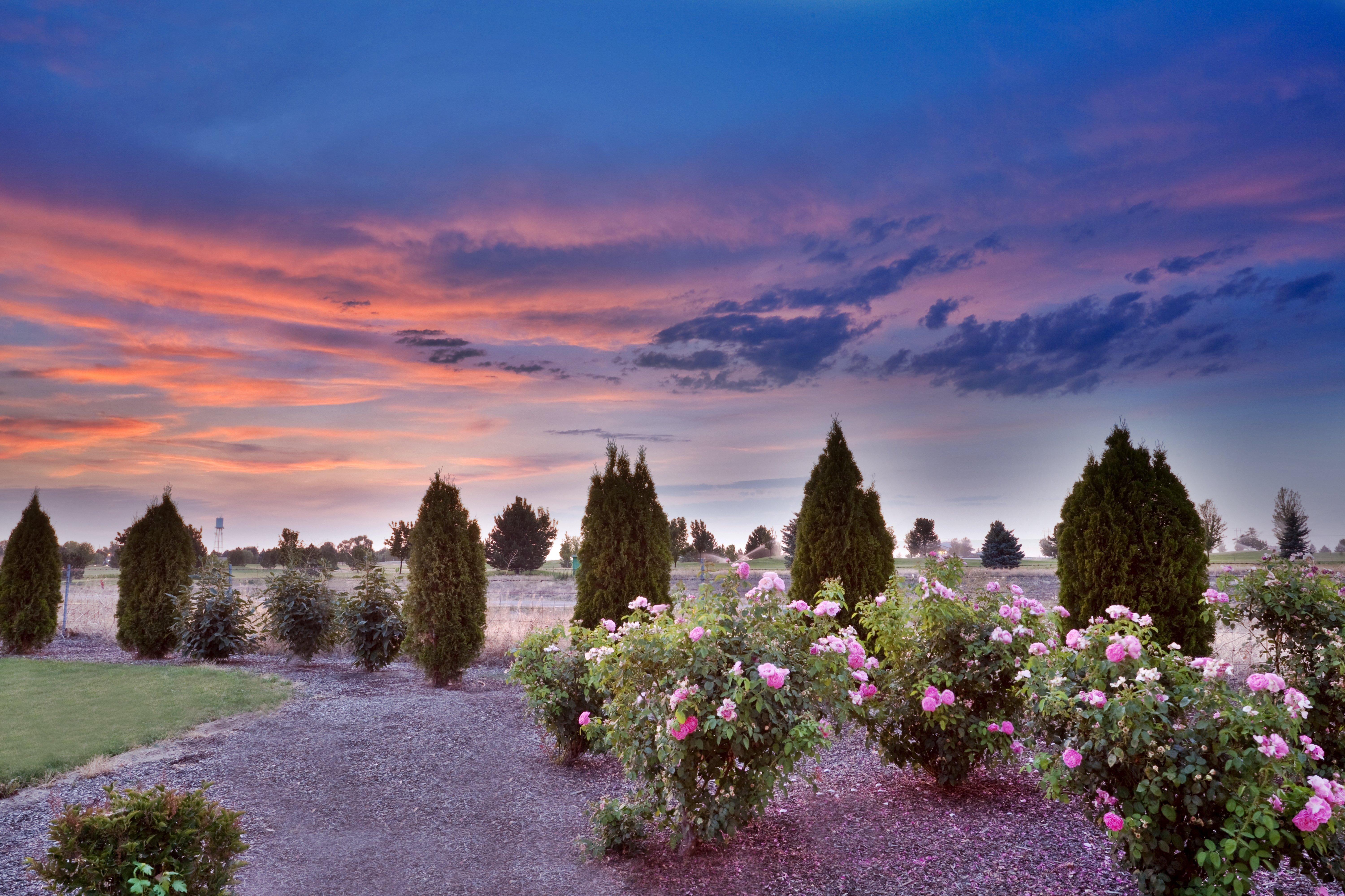 Holiday Inn Express & Suites Nampa - Idaho Center By Ihg Экстерьер фото
